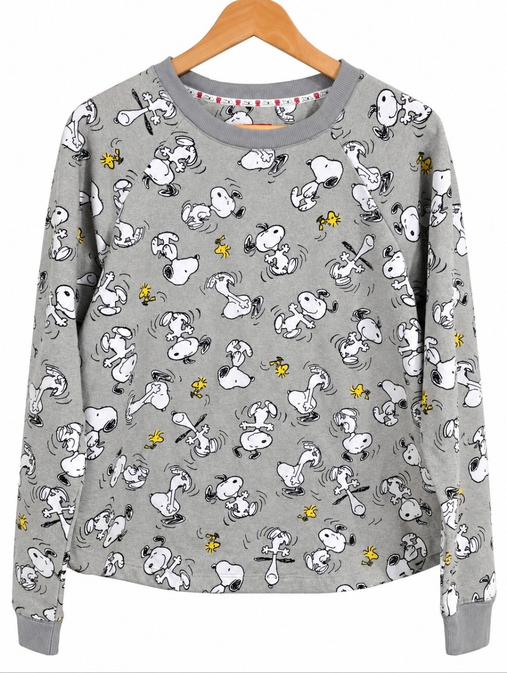 Peanuts Snoopy Woodstock Gray Long Sleeve Top Size M